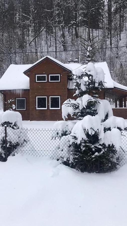 Bieszczadzki Klin Bklin Villa Cisna Exterior foto