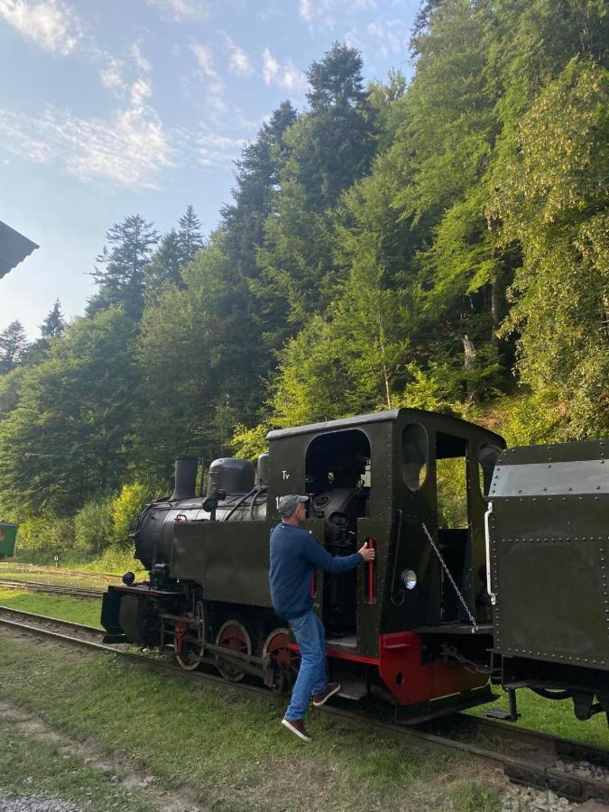 Bieszczadzki Klin Bklin Villa Cisna Exterior foto