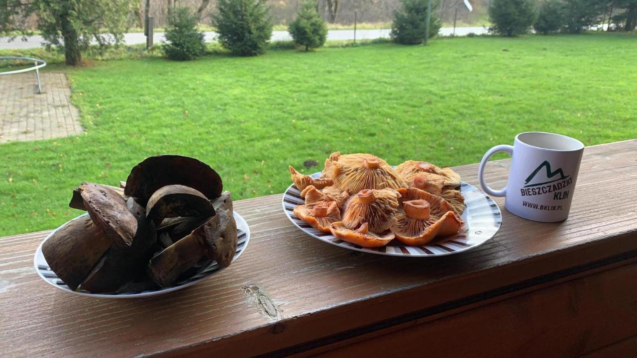 Bieszczadzki Klin Bklin Villa Cisna Exterior foto