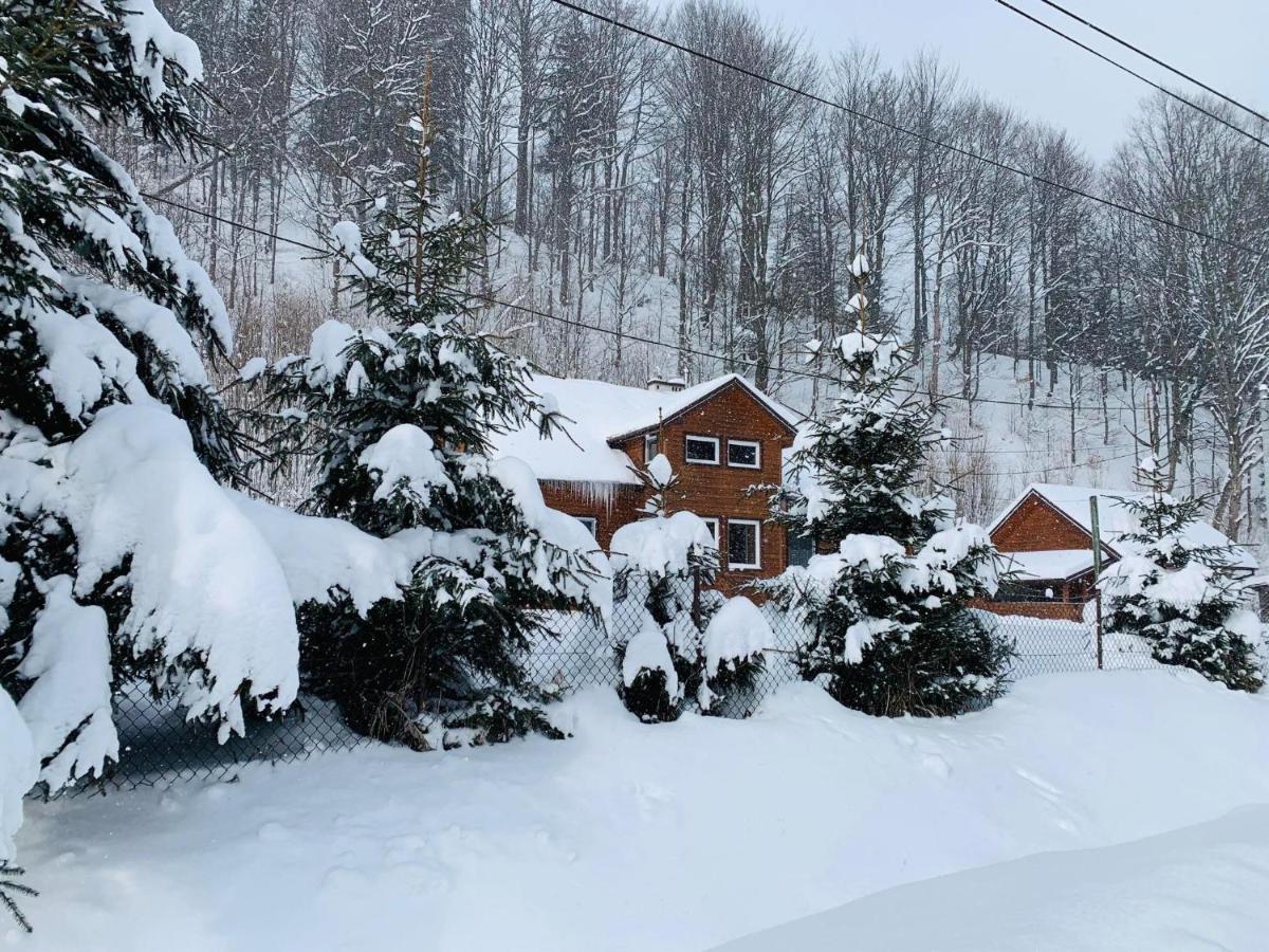 Bieszczadzki Klin Bklin Villa Cisna Exterior foto